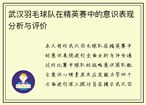 武汉羽毛球队在精英赛中的意识表现分析与评价